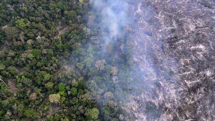 La déforestation dans l&rsquo;Amazonie brésilienne est au plus bas sur un an, selon les dernières données satellite