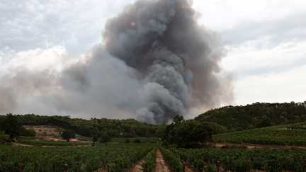 Incendie dans le Var : le feu du Gros Bessillon est fixé après 18 jours d&rsquo;une mobilisation inédite des pompiers