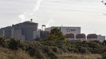 Des méduses obligent EDF à arrêter trois réacteurs de la centrale nucléaire de Gravelines