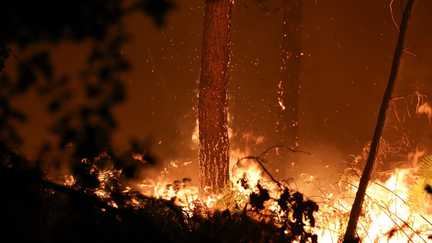 Incendie dans les Landes : la situation jugée « défavorable » par la préfecture, le feu a parcouru 1 100 hectares