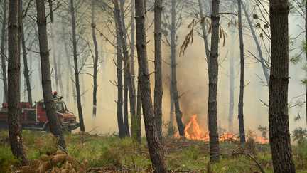 Incendie dans les Landes : le feu a repris dans la nuit, près de 1 600 hectares ont brûlé