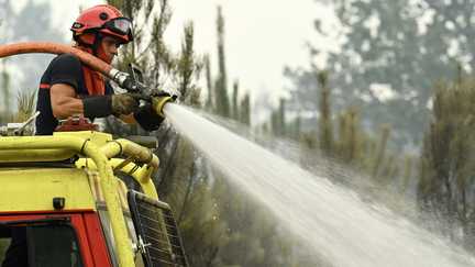 Incendie dans les Landes : « la situation évolue plutôt favorablement », sans reprise de feu majeure cette nuit, selon le préfet