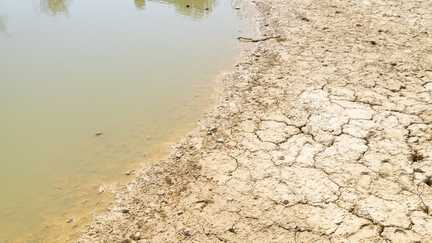 Seuls six départements du Sud-Est maintenus en vigilance orange « canicule » lundi à partir de 6 heures