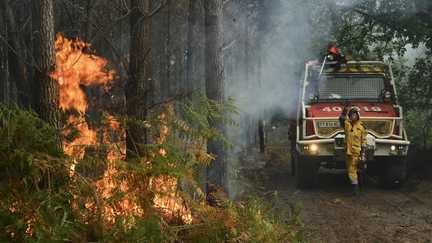 Incendie dans les Landes : le feu est « fixé », 250 évacués autorisés à rentrer chez eux, annonce la préfecture