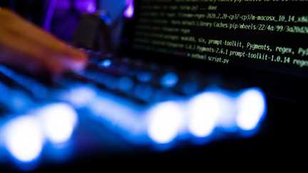 En quoi consiste le « bug bounty », cette chasse aux bugs évoquée par le gouvernement après le piratage du fisc ?