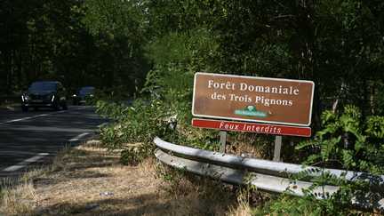 « C&rsquo;est un peu notre jardin » : à peine un mois après l&rsquo;incendie, la forêt de Fontainebleau rouvre partiellement au public