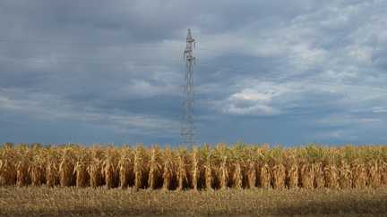 Douze départements de l&rsquo;Ouest placés en vigilance orange aux orages à partir de mercredi en début de soirée