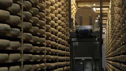 Face à la sécheresse, le gouvernement allège le cahier des charges AOP du comté, du beaufort et de l&rsquo;abondance