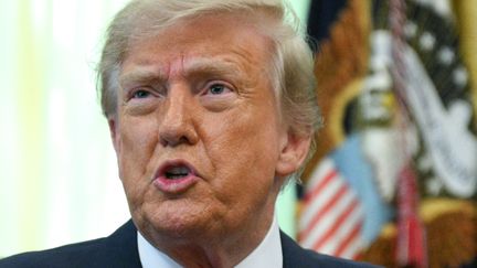 « J&rsquo;ai eu de bonnes discussions avec lui » : Donald Trump assure que Vladimir Poutine « ne va pas attaquer un territoire de l&rsquo;Otan »