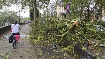 Météo-France maintient 23 départements en vigilance orange aux orages alors que les intempéries se déplacent vers l&rsquo;est