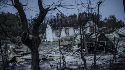 Le coût des grands incendies de cet été en Gironde, dans les Landes et dans le Var évalué à un demi-milliard d&rsquo;euros par France Assureurs