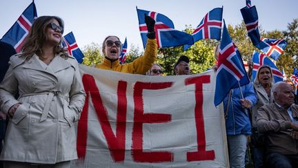 L&rsquo;Islande dit « non » à une reprise des négociations d&rsquo;adhésion à l&rsquo;Union européenne