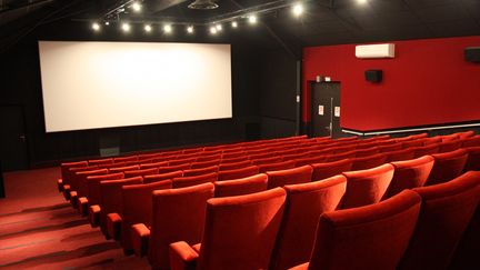 Le président du CNC annonce la création d&rsquo;une structure mondiale pour soutenir les salles de cinéma