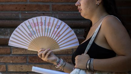 « Dans la lignée de cet été interminable » : la chaleur va faire son retour cette semaine en France, jusqu&rsquo;à 38°C attendus dans le Sud-Ouest