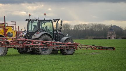 Autoriser ou interdire l&rsquo;acétamipride ? On a demandé aux principaux candidats à la présidentielle leur avis sur son utilisation