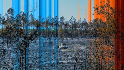 « La lutte pour limiter le réchauffement à 1,5°C, c&rsquo;est la lutte pour l&rsquo;humanité » : ce qu&rsquo;il faut retenir du rapport de l&rsquo;ONU sur le climat