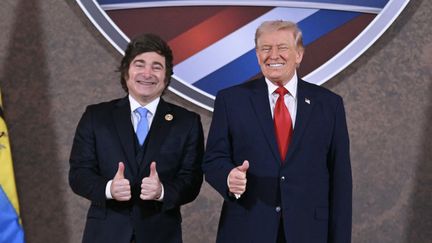 « C&rsquo;est une position parmi d&rsquo;autres » : comment Donald Trump a ravivé les tensions entre l&rsquo;Argentine et le Royaume-Uni au sujet des îles Malouines
