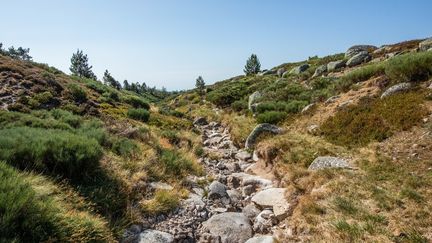 Avec 40,3°C relevés dans le Tarn dimanche, le record national de chaleur a été battu en France hexagonale pour un mois de septembre