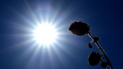 Plus aucun département du sud-est de la France n’est en vigilance orange « canicule »