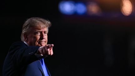 Donald Trump peut-il vraiment distribuer 5 000 dollars à chaque adulte américain à l’issue des élections de mi-mandat ?