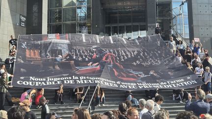 « Un ultime crachat à la tête des familles de victimes » : à Paris, des milliers de manifestants dénoncent la loi sur la présomption de légitime défense pour les forces de l’ordre
