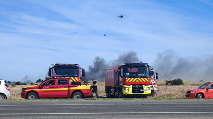 Un feu de végétation a déjà parcouru 35 hectares au sud de Perpignan, le trafic des trains interrompu et une route fermée