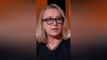 « Pangram, va te faire foutre » : pour l&rsquo;autrice Virginie Despentes, « Thélyson Orélien n&rsquo;a pas à se justifier »