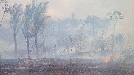 « Un avant-goût de notre avenir » : le phénomène météorologique El Niño pourrait causer 451 000 décès supplémentaires d&rsquo;ici février 2027