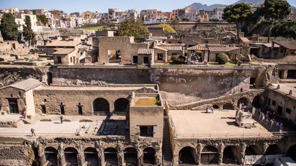 L’IA émerveille… quand elle décrypte un papyrus d’Herculanum