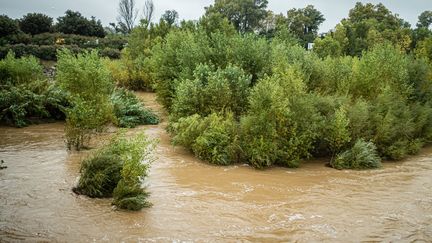 La Lozère, le Gard et l’Hérault placés en vigilance orange en raison d’un risque de pluies, d’inondations et d’orages à partir de minuit, annonce Météo-France