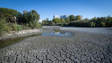 De la Corse au Sud-Ouest en passant par la Lorraine, la France subit un déficit de pluie « alarmant » au mois de septembre