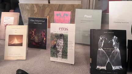 Découvrez Anne Carson, la lauréate du prix Nobel de littérature, en six œuvres majeures