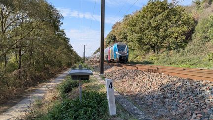 « Assurer la régularité des trains et préserver la biodiversité » : SNCF Réseau teste un système d’effarouchement des animaux, pour éviter les collisions