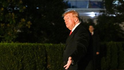 Donald Trump assure que Moscou et Kiev ont conclu « un cessez-le-feu énergétique », Volodymyr Zelensky dit ne pas être au courant mais en accepter le principe