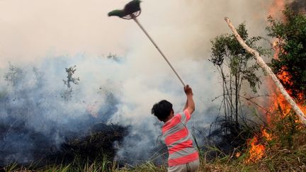 Sécheresse, inondations, tempêtes, incendies… Les conséquences du « super El Niño » à l’échelle planétaire