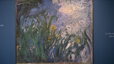 « Iris », tableau de Claude Monet, vendu 50 millions d’euros, un record pour des enchères d’art en France