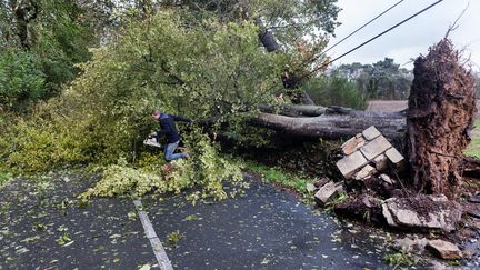 Tempête Austen : plus de 240 000 foyers privés d&rsquo;électricité dans le quart nord-ouest de l&rsquo;Hexagone