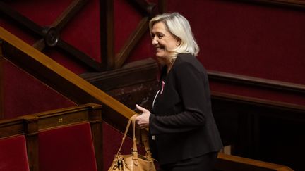 Comment Marine Le Pen, plus optimiste que jamais pour 2027, veut prendre de la hauteur et installer sa « force tranquille »