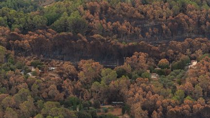 « Plus de sept millions d&rsquo;euros collectés » pour restaurer les forêts ravagées cet été dans la Drôme et le Var grâce aux tirages du Loto