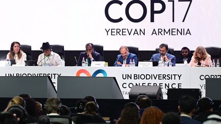 À la COP17 sur la biodiversité, le monde s&rsquo;engage à remettre sur les rails les efforts pour protéger la nature